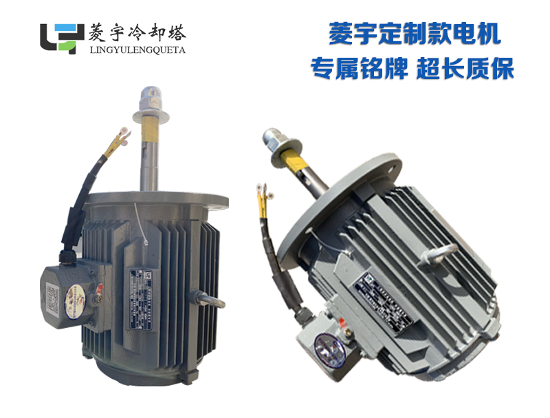 全新定制款電機.png